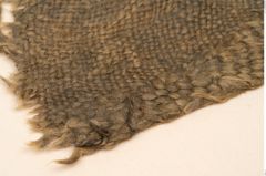 Foto von Textil (NHMW-PRAE-126320)